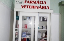 remedios_para_animais